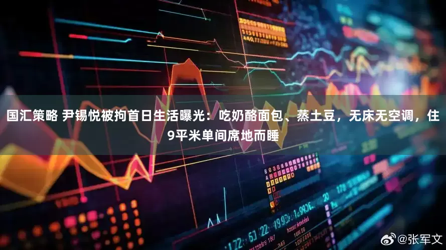 国汇策略 尹锡悦被拘首日生活曝光：吃奶酪面包、蒸土豆，无床无空调，住9平米单间席地而睡