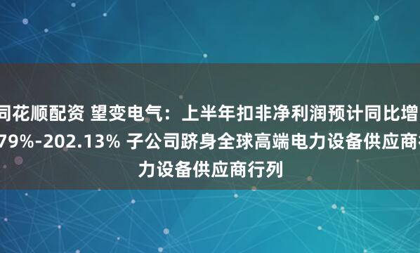 同花顺配资 望变电气：上半年扣非净利润预计同比增153.79%-202.13% 子公司跻身全球高端电力设备供应商行列
