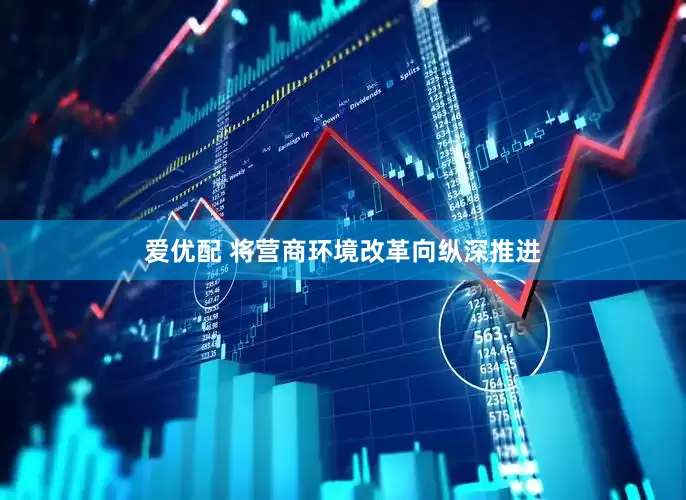 爱优配 将营商环境改革向纵深推进