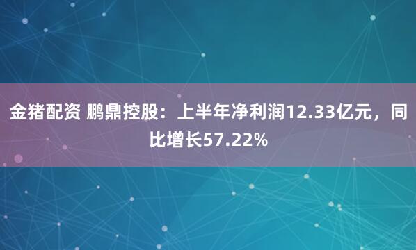 金猪配资 鹏鼎控股：上半年净利润12.33亿元，同比增长57.22%