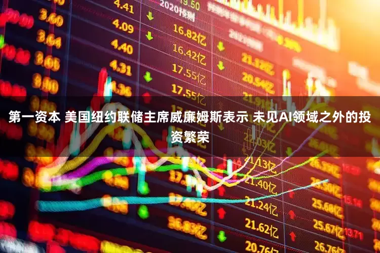 第一资本 美国纽约联储主席威廉姆斯表示 未见AI领域之外的投资繁荣